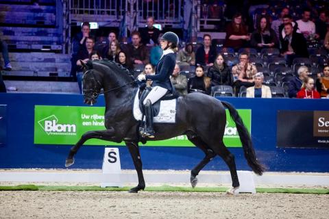 Finales hengstencompetitie droomwedstrijd voor Reesink horses