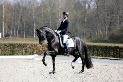 Kaiser-Weltino-v-Dante-Weltino-Nars-Gottmer-842×561