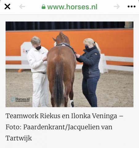 longeren HK Nyandro Geniaal x Jazz