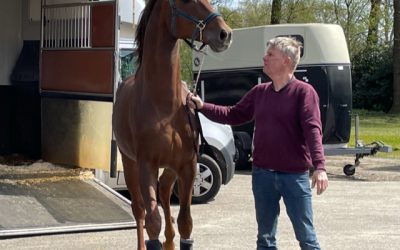 Filou gearriveerd in Stuifzand