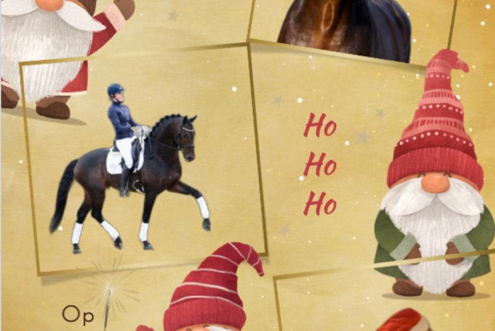 Fijne kerstdagen en op naar een geweldig 2025