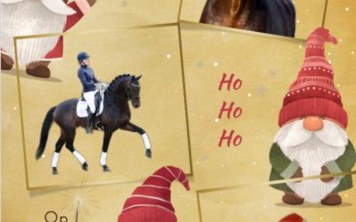Fijne kerstdagen en op naar een geweldig 2025