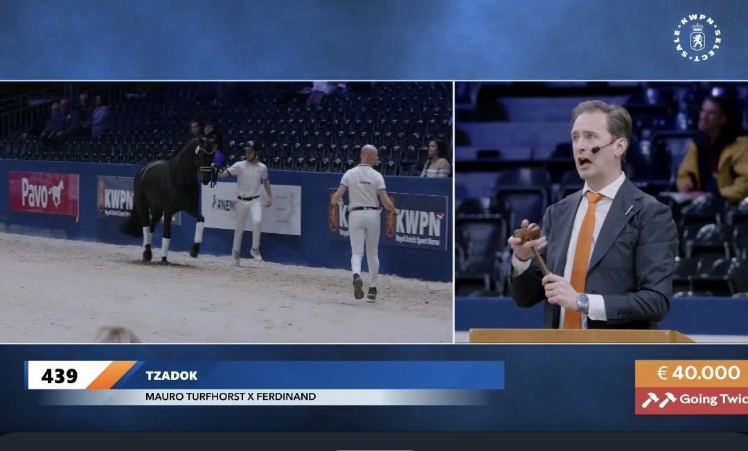 TZADOK verkocht in select sale