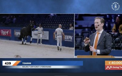 TZADOK verkocht in select sale